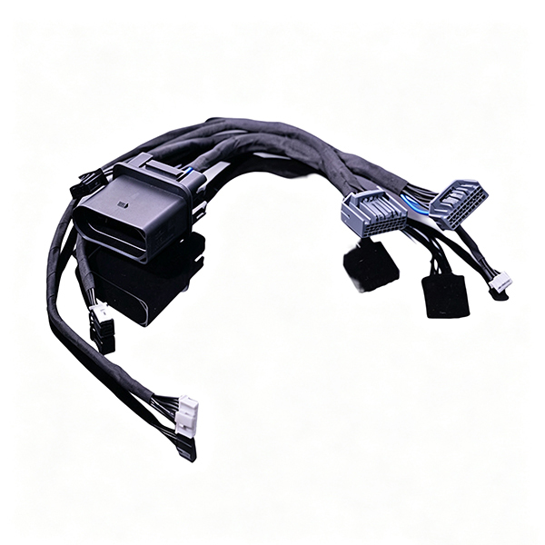 Trunk Cable Assembly 